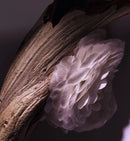 Gris Dior Unisex Fragrance Eau de Parfum 100ML